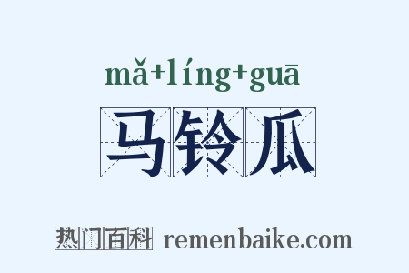 马铃瓜是什么意思的图片